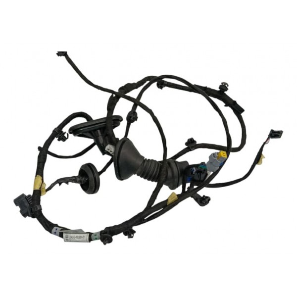 Chicote Porta Traseira Esquerda Byd Song Plus 24/25