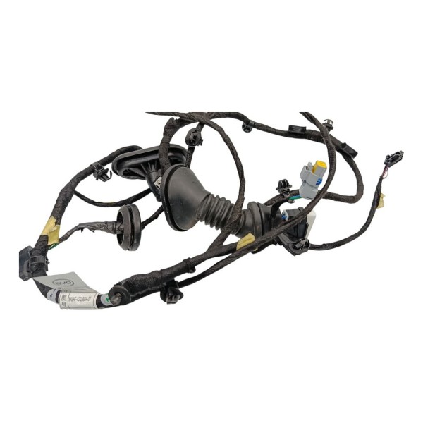 Chicote Porta Traseira Esquerda Byd Song Plus 24/25