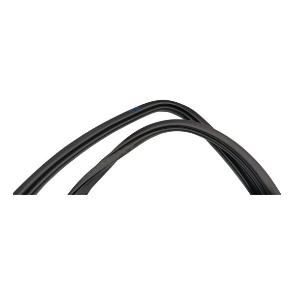 Borracha  Porta Traseira Direita Byd Song Plus 24/25