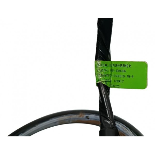 Chicote Roda Traseiro Direito Byd Song Plus 24/25