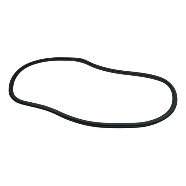 Borracha De Porta Traseira Esquerda Volvo S60 2020