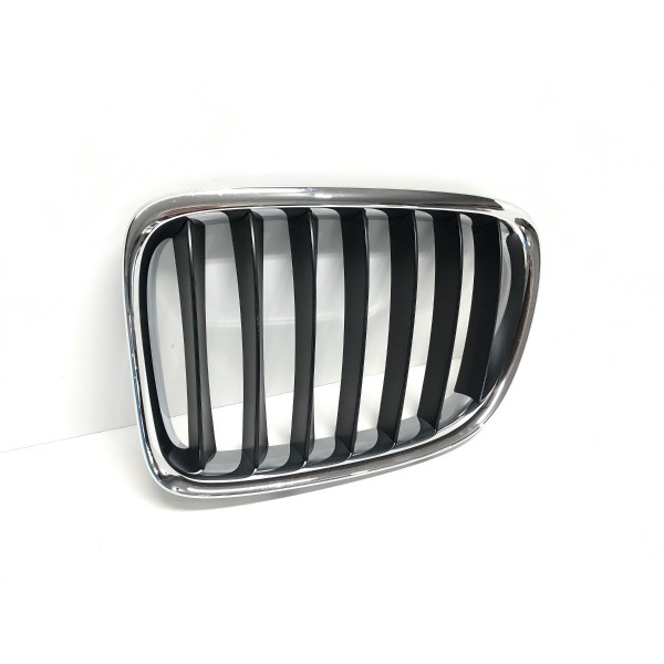Grade Dianteira Esquerda Bmw X1 E84 51112993307 Preto Esquerdo