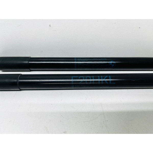 Amortecedor Do Capô Traseiro Bmw 120 118 116 F20 2014 