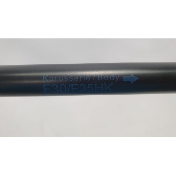 Amortecedor Tampa Porta-malas Bmw 320i F30 2015 51247259763 