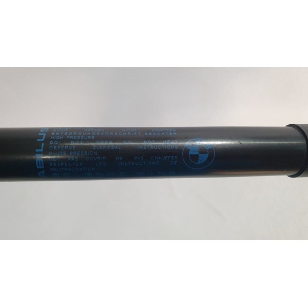 Amortecedor Tampa Traseira Bmw 320i F30 2015  5124725976310 