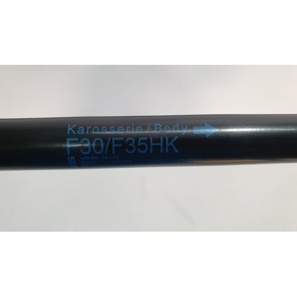 Amortecedor Tampa Traseira Bmw 320i F30 2015  5124725976310 