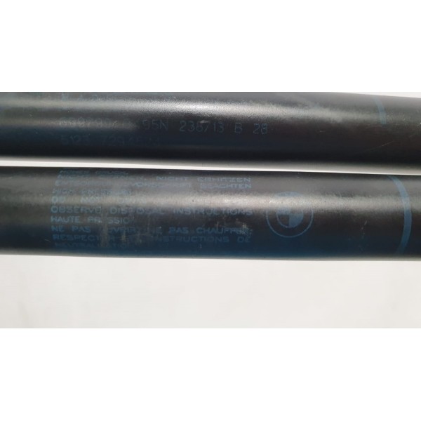 Amortecedor Capô Bmw X5 Xdrive50i 2015 Cód 7294524