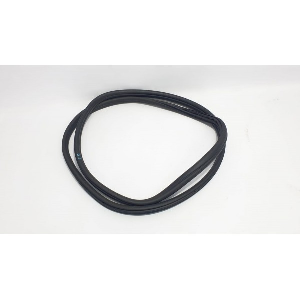 Borracha Porta Traseira Direita Bmw X3 G01 Xdrive 20i 2019