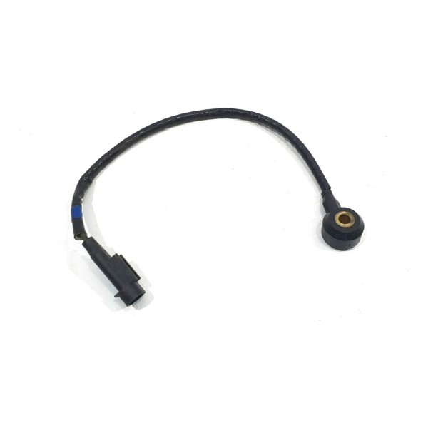 Sensor Detonação Kia Quoris 3.8 2015