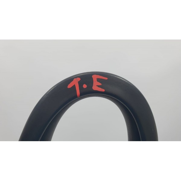 Borracha De Porta Traseira Esq Toyota Prius Hybrid 1.8 2018