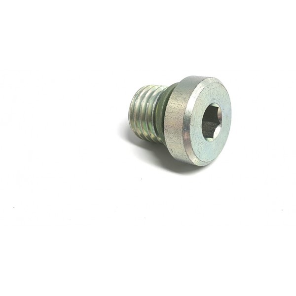 Bujão Roscado Canilha Bmw Série 3 F30 11417607857