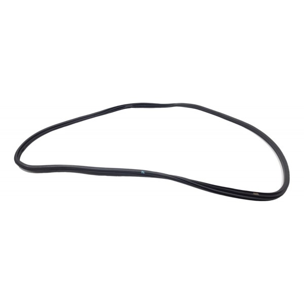 Borracha Porta Traseira Esquerda Bmw 320i Gp Sport 2022