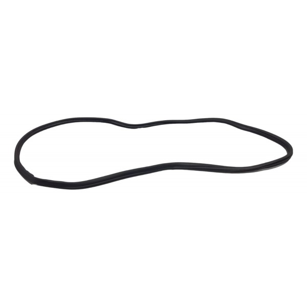 Borracha Porta Traseira Direita Bmw 320i Gp Sport 2022