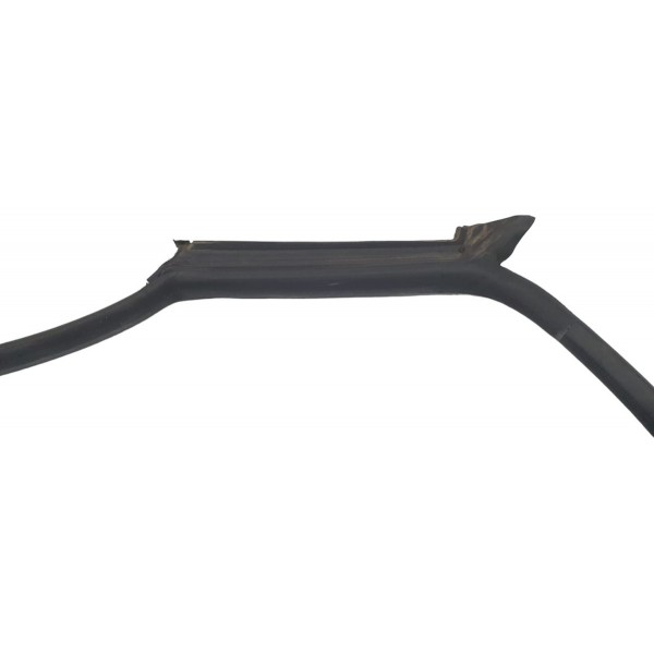 Borracha Porta Traseira Esquerda  Audi A5 2.0 Tfsi 2019