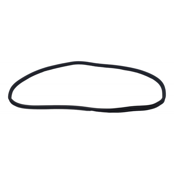 Borracha Porta Traseira Esquerda Bmw 320i M Sport 2022