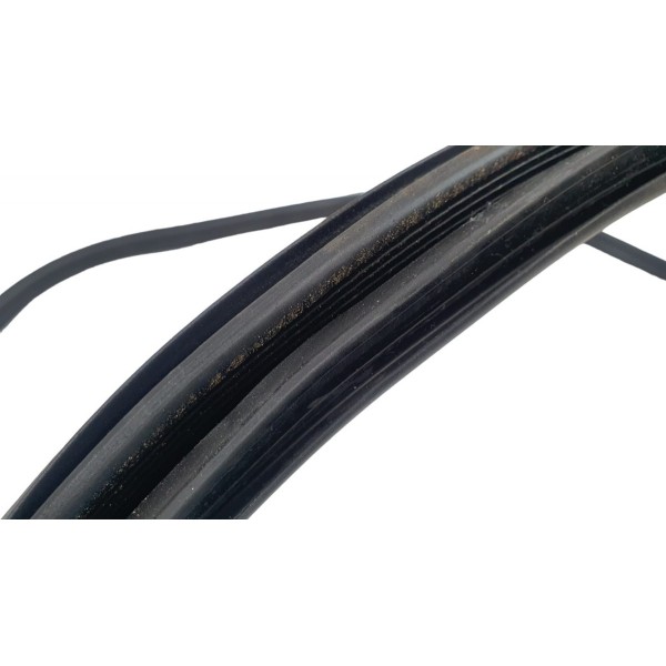 Borracha Porta Traseira Esquerda Bmw 320i M Sport 2022