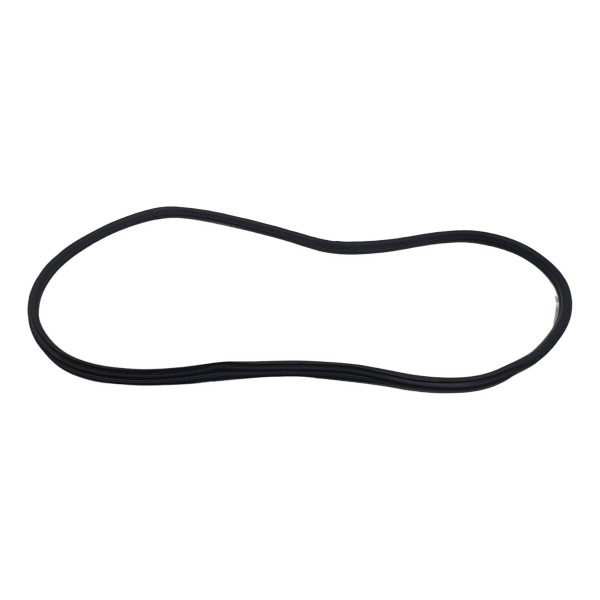 Borracha Porta Dianteira Esquerda Bmw 320i M Sport 2022